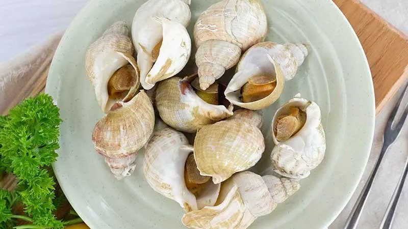 Ốc bulot – Khay 500gr
