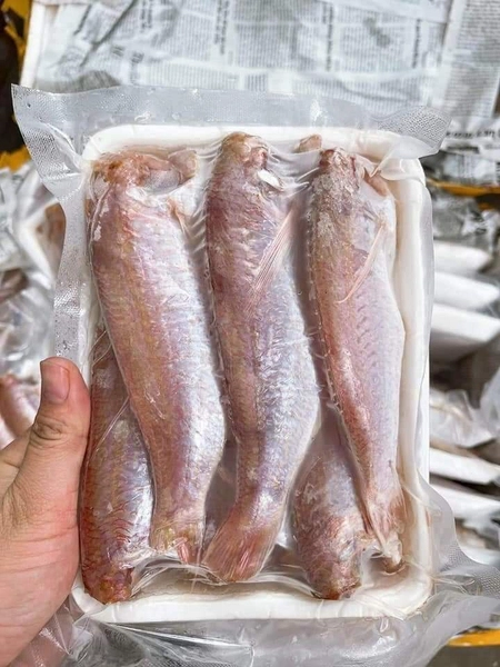Cá phèn hồng – Khay 500gr