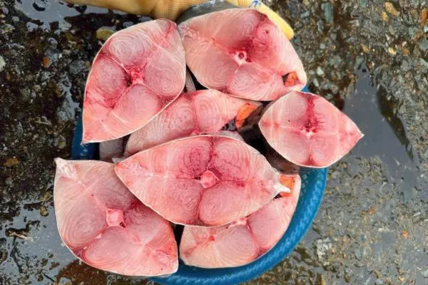 Cá thu cắt khúc – 1Kg